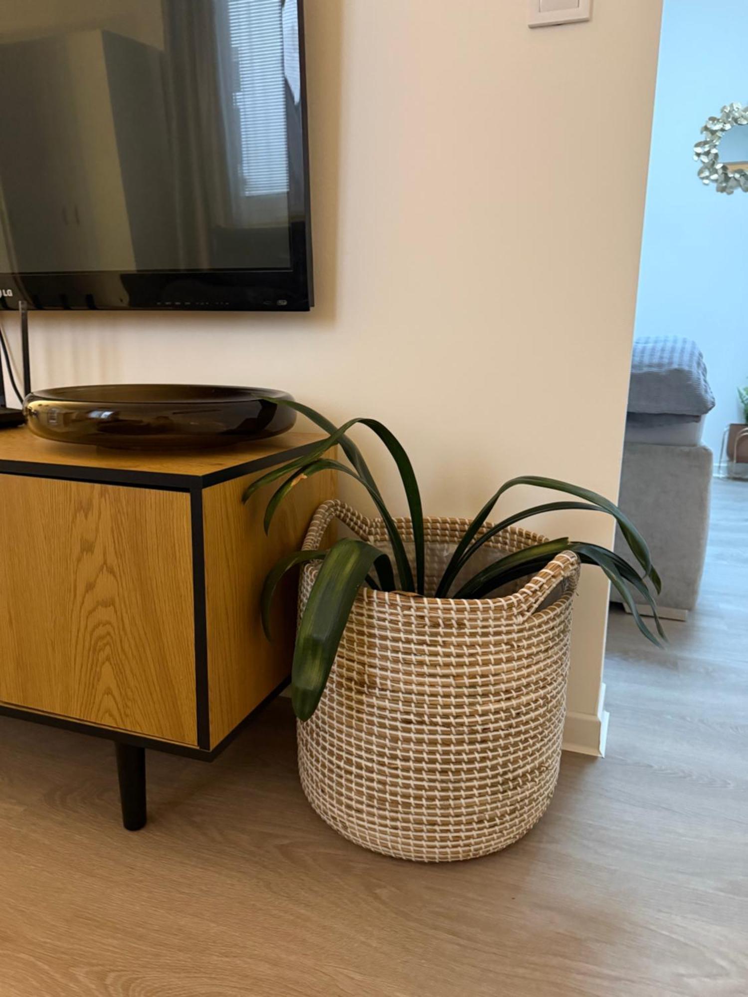 Apartment U Kostela