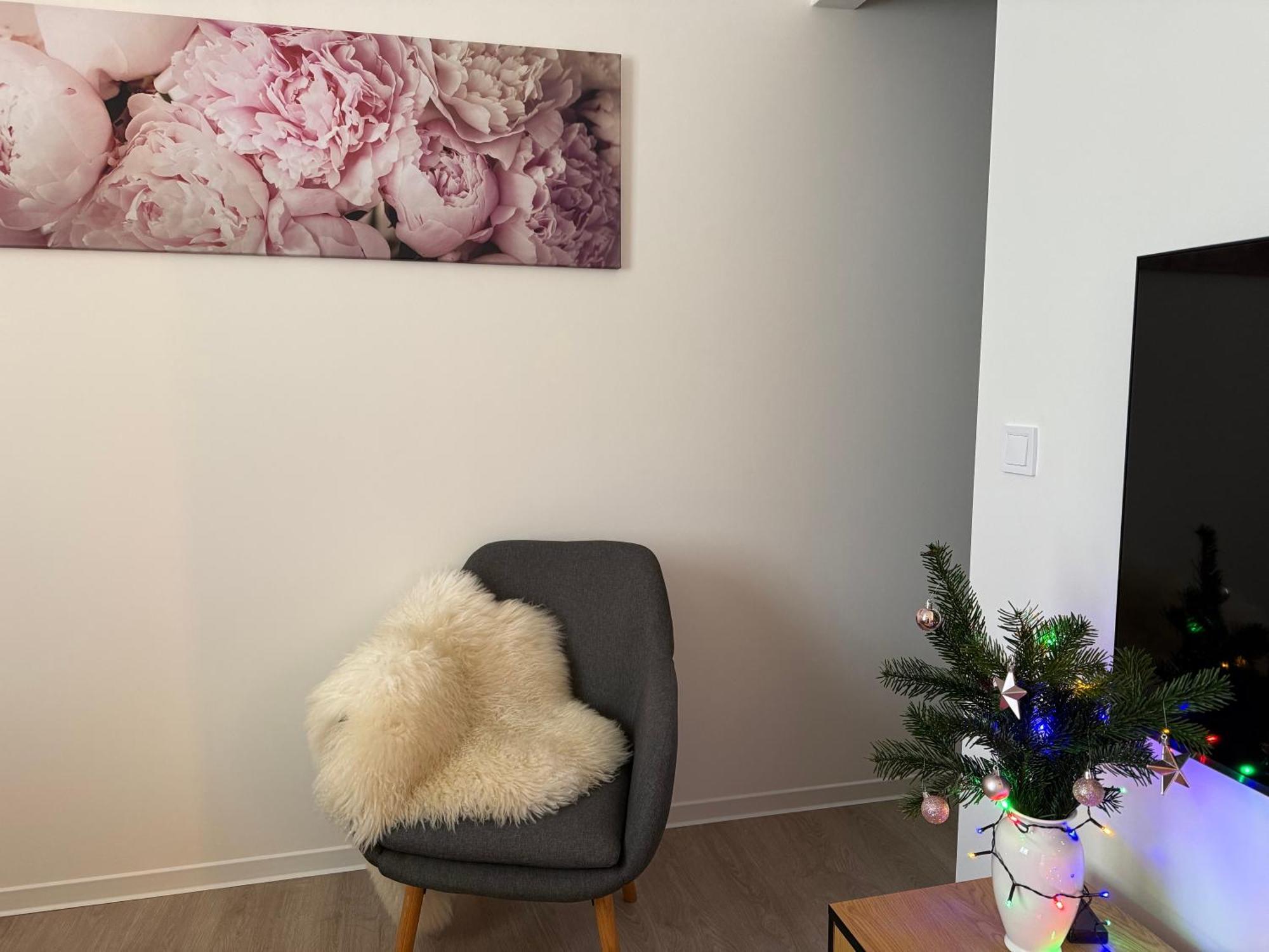 U Kostela Apartment Unicov