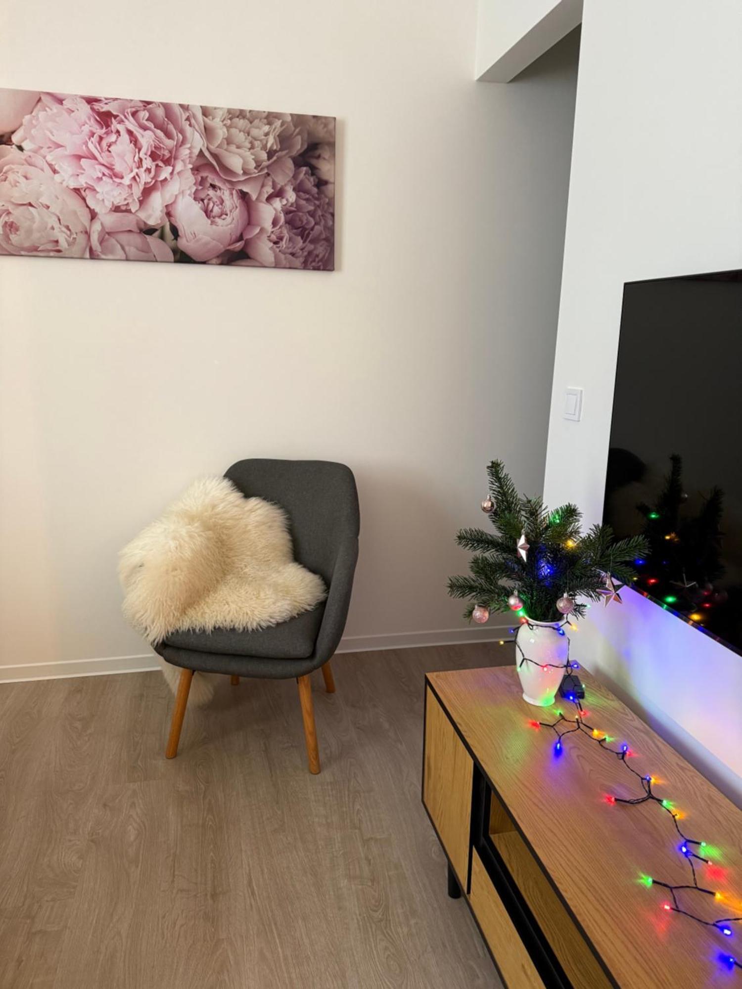 Apartment U Kostela *